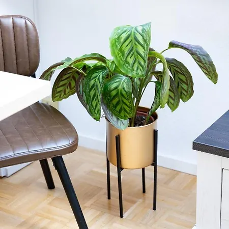 West44 Mit Netflix & Prime Apartment Duisburg